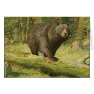 Cartão Urso Preto a Passar num Tronco de Árvore