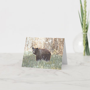 Cartão Urso Preto Castanho - Placa de Vazio