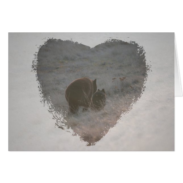 Cartão Ursos que andam no por do sol (Frente Horizontal)