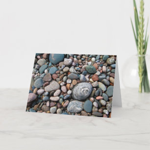Cartão USA, Michigan. Polished Pebbles On The Shore