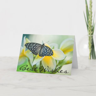 Cartão USA, Pennsylvania. Swallowtail butterfly