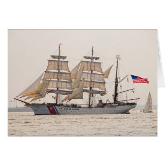 Cartão USCG Eagle 2