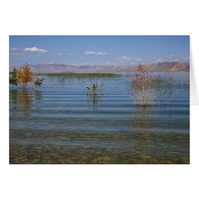 Cartão UT, Bear Lake (Frente Horizontal)