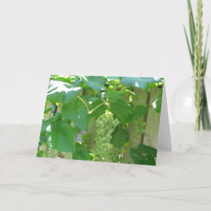 Cartão Uvas brancas e suculentas sem sementes