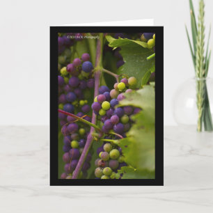 Cartão Uvas coloridas