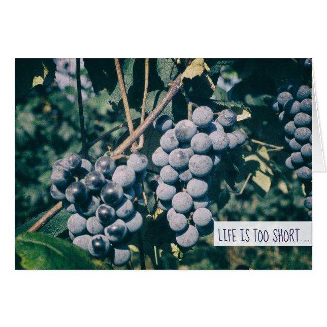Cartão Uvas Púrpura De Vinho Colheita De Uvas Na Vinha (Frente Horizontal)