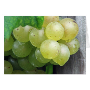 Cartão Uvas Verdes Prowy