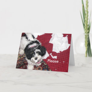 Cartão Vá Bem, Puppy.