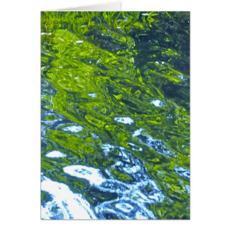 Cartão Vá com o fluxo!