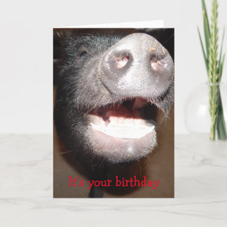 Cartão Vá em frente e aperte, Pig Birthday card