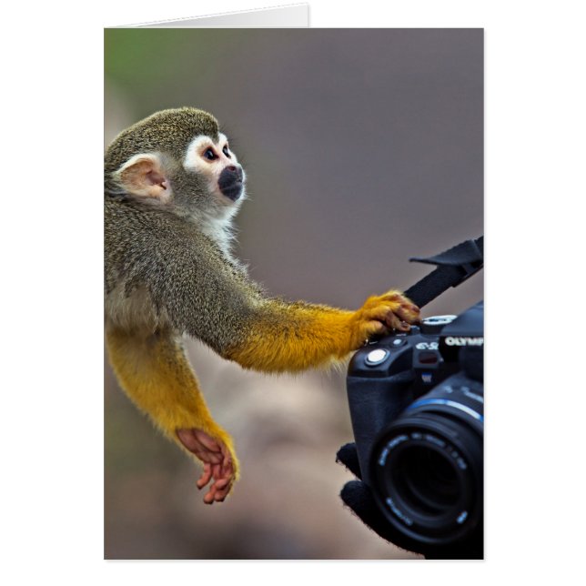 Cartão Vá sobre! deixe-me tomar o tiro (Frente)