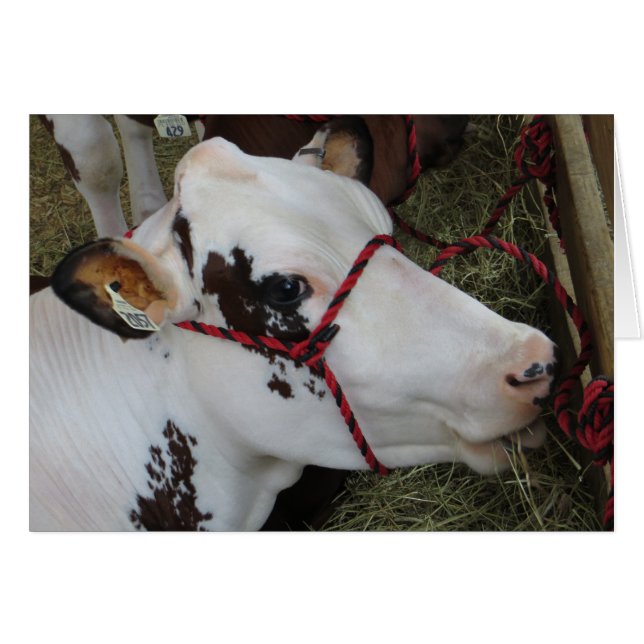 Cartão Vaca (Frente Horizontal)