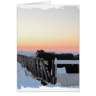 Cartão Vaca Colorida