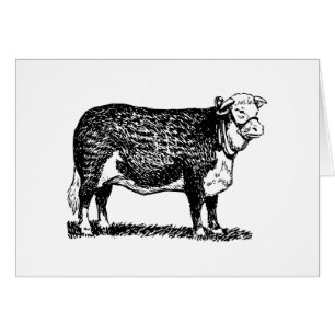 Cartão Vaca de Hereford