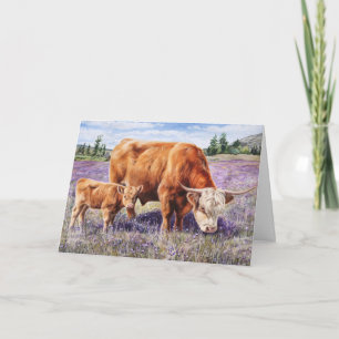 Cartão Vaca do planalto e flores selvagens púrpura do vit