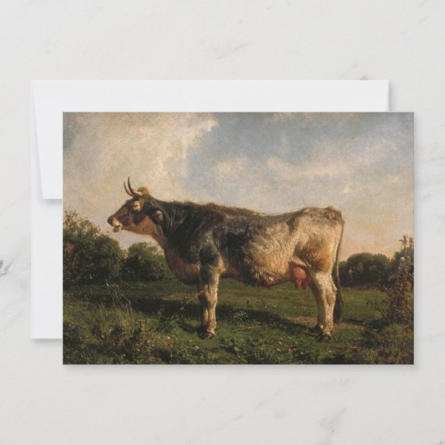 Cartão Vaca em campo (Fazenda animal) (por Filippo Palizz (Frente)