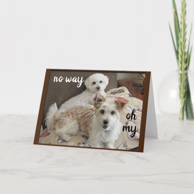 CARTÃO VACA HOLY DIZ ÀS BOMBAS "VOCÊ ESTÁ RODANDO 70" (Frente)