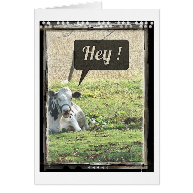 Cartão Vaca Leiteira! (Frente)