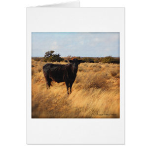 Cartão Vaca no Intervalo