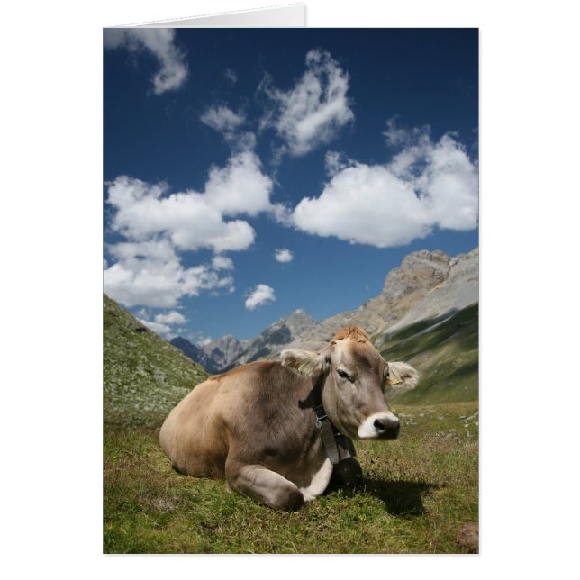 Cartão Vaca no pasto (Frente)