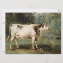 Vaca numa paisagem rural (animal Fazenda)