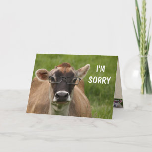 Cartão Vaca Remordeira "Desculpe"