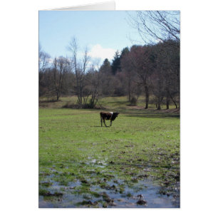 Cartão Vaca solitário