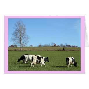 Cartão Vacas