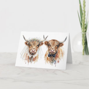Cartão Vacas das Terras Altas de Casamento em Aquarela