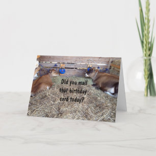 CARTÃO VACAS DE MÃE FALAM SOBRE SEU DESEJO DE ANIVERSÁRIO