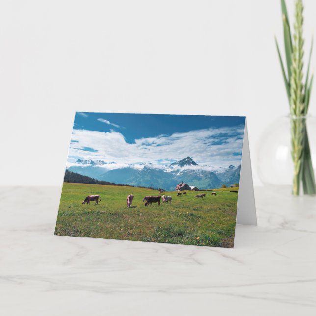 Cartão Vacas felizes na fazenda na suiça (Frente)