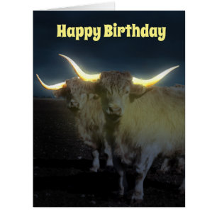 Cartão Vacas Highland Com Placa De Aniversário Jumbo E Br