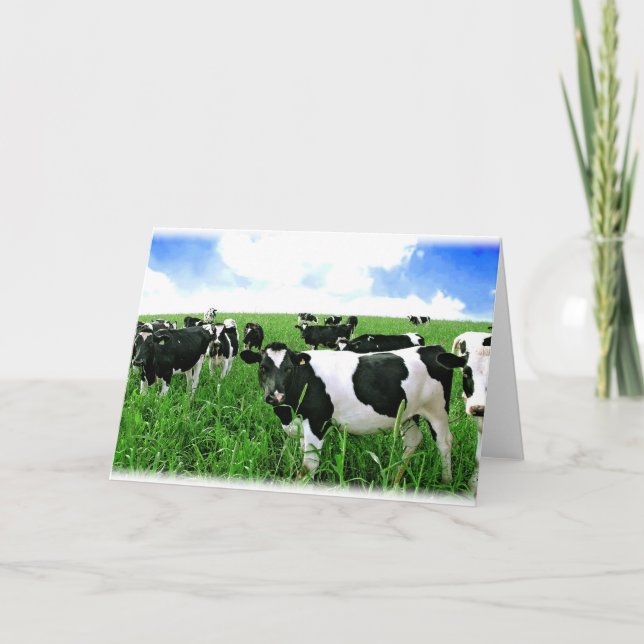 Cartão Vacas leiteiras no chão verde (Frente)