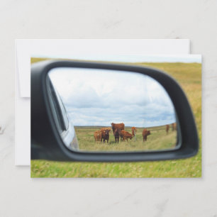 Cartão Vacas no espelho