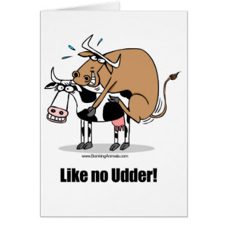 Cartão vacas que boinking