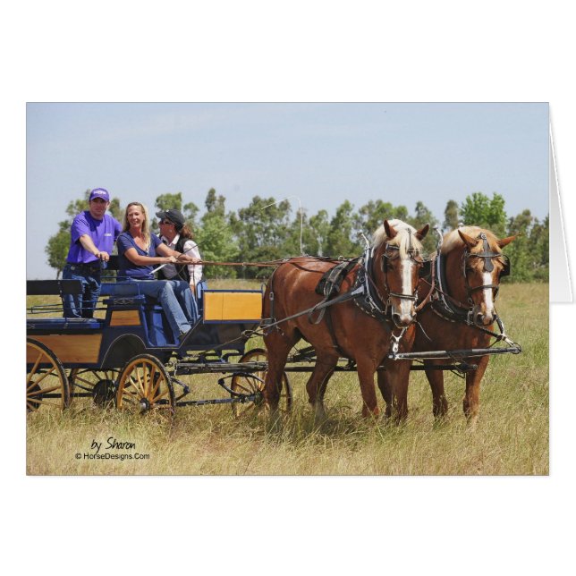 Cartão Vagão belga do cavalo de esboço (Frente Horizontal)