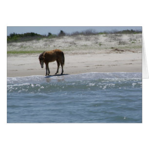 Cartão Vagueie livre