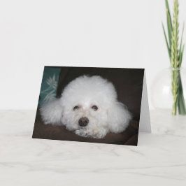 Cartão Vai ficar tudo bem Dog Card