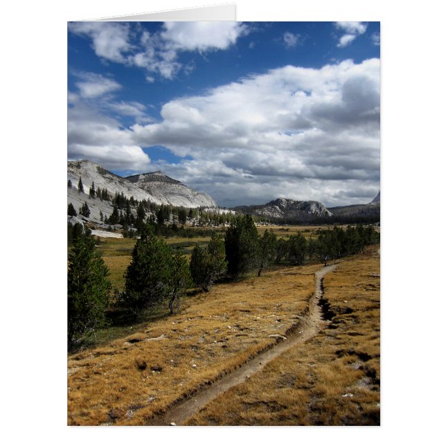 Cartão Vale do Vogelsang - Yosemite (Frente)
