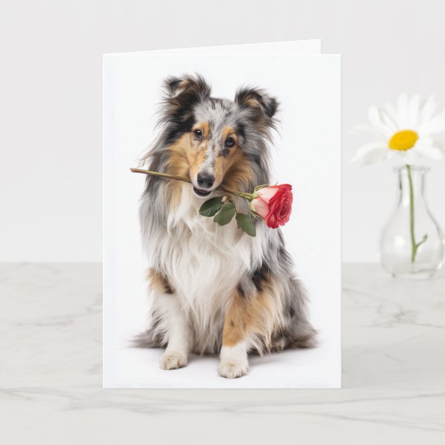 Cartão Valentim de Sheltie Blue Merle – Devotação Suave (Planta pequena)