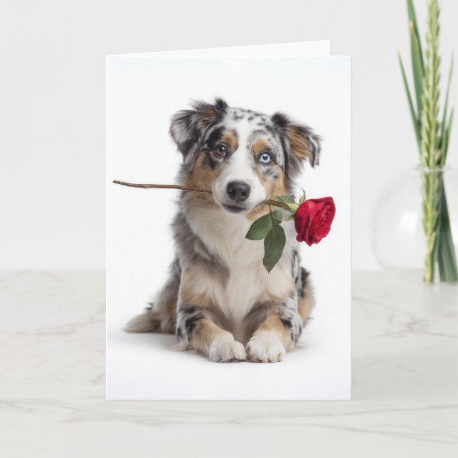 Cartão Valentine Aussie Merle Azul – Amor Devotado (Frente)