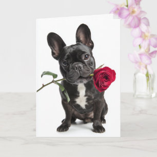 Cartão Valentine de Bulldog Francês - Grande Amor, Doce C