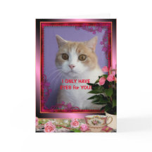 Valentine do Gato Engraçado Personalizável