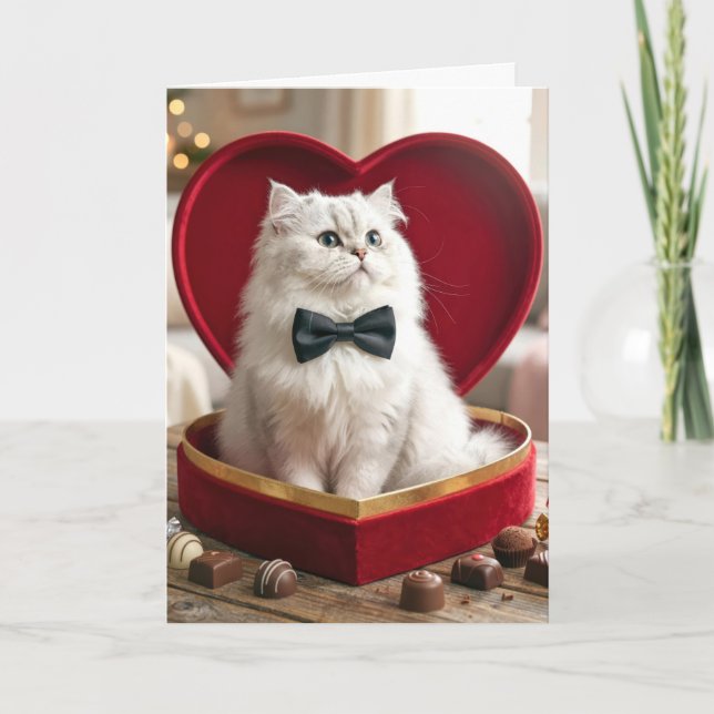 Cartão Valentine Persian Cat In Candy Box (Frente)
