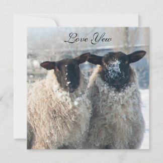 Cartão Valentine's Day Card