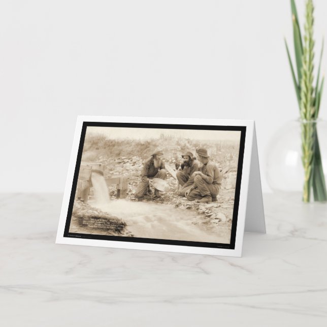 Cartão Vamos Obter Rich Panning Dourado SD 1889 (Frente)