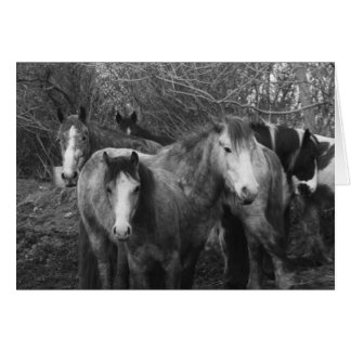 Cartão Vamos todos façam o Conga!