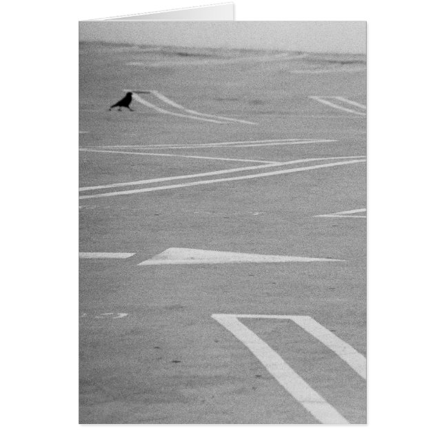 Cartão Vamos Vai Por Aí! (Frente)