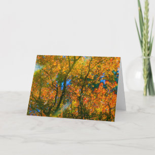 Cartão Van Dusen Botanical Garden Vancouver, Canadá