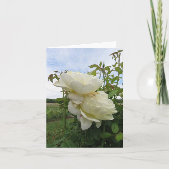 Cartão Vanessa Bell Yellow Rose, Vertical  (Frente)